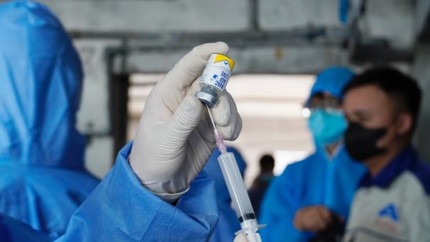 ASF vaccine provides effective protection against genotype II strain